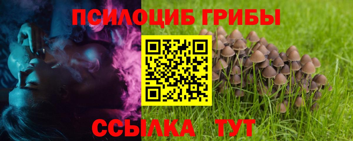 Галлюциногенные грибы Psilocybine cubensis  Галлюциногенные грибы ЛСД  Вход с VPN  Калач-на-Дону 